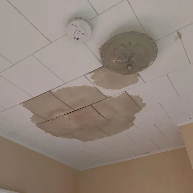 Ceiling Water Damage Repair in Farmington, MN